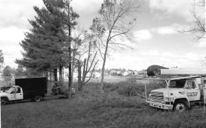 Foresters plan for clean up of Reffue Park ball field