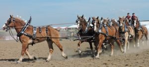 Snudden Farms hosted Farm Tech Days, near Zenda