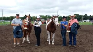 Tenth annual horse show a success in Brodhead