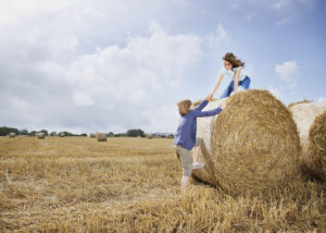 The hay wagon that tipped over