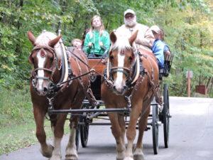 Friends of Carver-Roehl Park Hosted Fall Festival Fundraiser