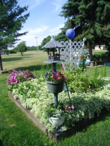 Wayne Scheider wins Garden of the Month