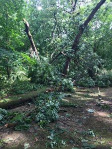 Storm damage causes trail closures in southern Wisconsin