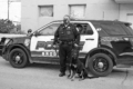 Brodhead Police Officer Brian Bennett stands with his K9 partner, Arrow, outside the Brodhead Police Department. The special squad vehicle features addi-tional technology, including window-mounted cooling fans and a repurposed rear passenger compartment to keep Arrow riding in comfort. Donations from area businesses and community members are vital to the K9 program.